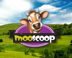 MooScoop Icecream