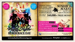 Harbour Beach Race Day